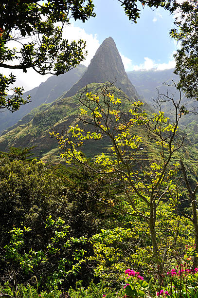 istock Mountain around Serra de Agua - Madeira 585610822
