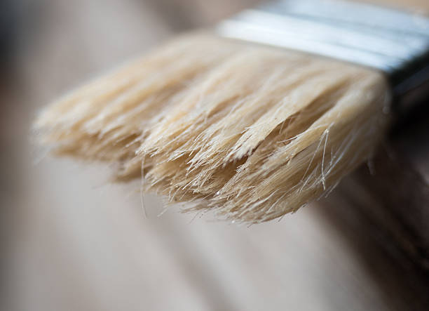 istock close up of paint brush, 585611374