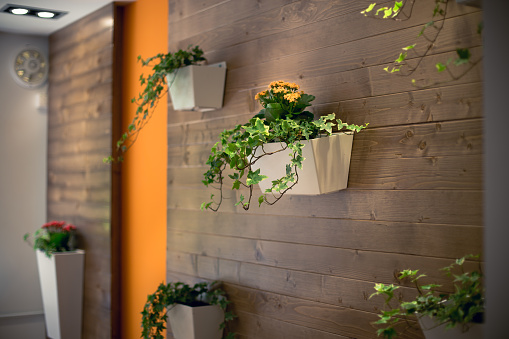 flowers in a flower pot, hanging on a wooden office wall . home interior