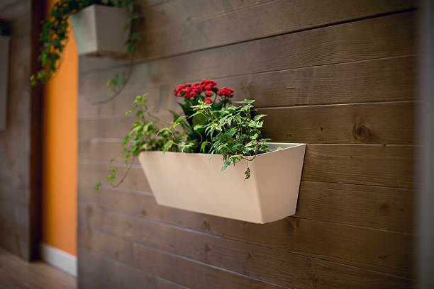 istock flowers hanging on a wooden office wall 585611950