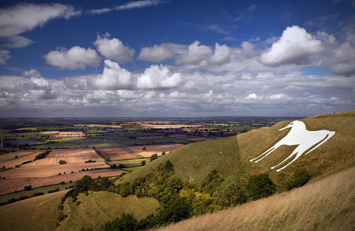 Ancient chalk image of a white horse at Westbury in Wiltshire