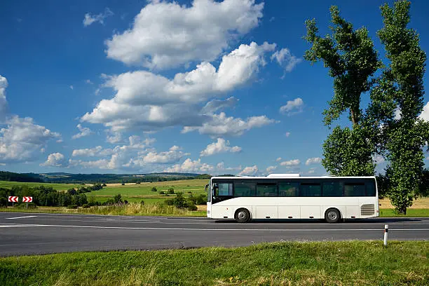 The white bus driving on the asphalt road past the two tall cottonwoods in the countryside under a blue sky with white dramatic clouds.