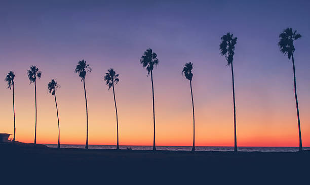 vintage california beach foto - lifeguard orange nature beach fotografías e imágenes de stock