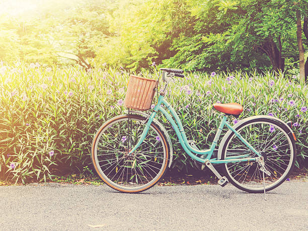 istock Vintage bicycle in the park at sunset 585618684