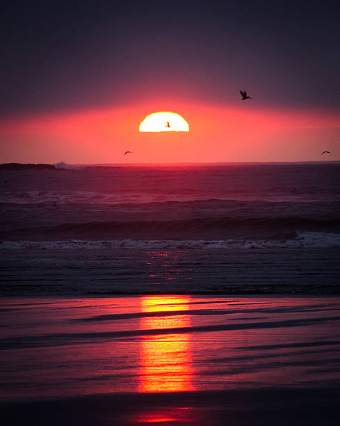 istock Red sunset over an oregon coast beach 585620746