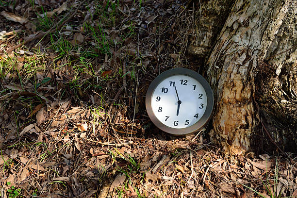 istock Time slipped away quietly 585622258