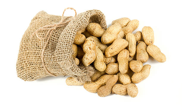 istock peanuts in a miniature burlap bag isolated on white 585623832