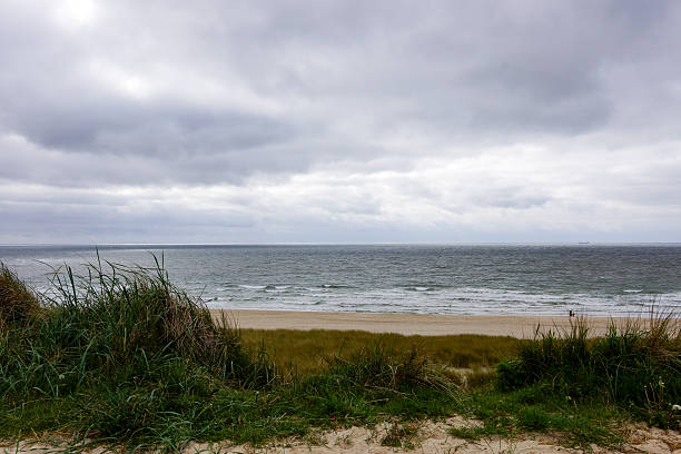 istock View from Wenningstedt Dunes at Sylt Beach 585624290