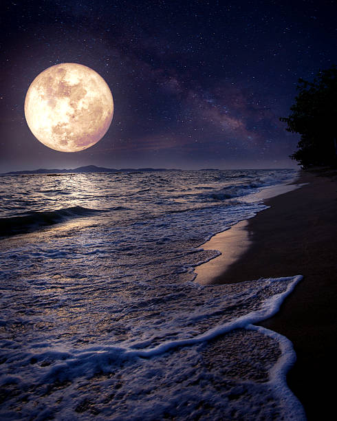 beach and full moon Beautiful fantasy tropical beach with Milky Way star in night skies, full moon - Retro style artwork with vintage color tone (Elements of this moon image furnished by NASA) fantasy moonlight beach stock pictures, royalty-free photos & images