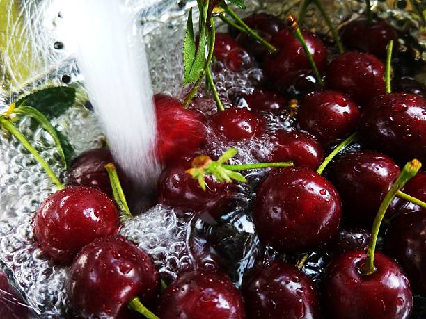 Cherries