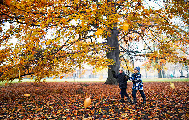 istock Little boys running in an autumn park 585763990