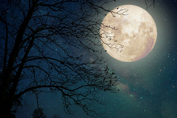 tree in fullmoon Milky Way star in night skies, full moon and old tree - Retro style artwork with vintage color tone (Elements of this moon image furnished by NASA) moonlight stock pictures, royalty-free photos & images
