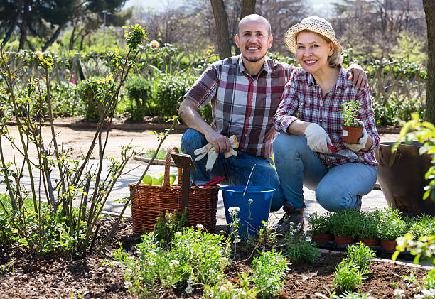 pareja de edad mayor trabajando en el jardín - gardening senior adult action couple fotografías e imágenes de stock