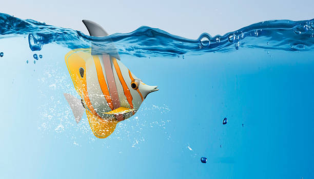 istock Exotic fish with shark flip . Mixed media 585764456