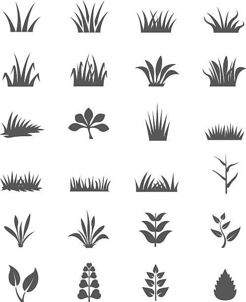 잔디 아이콘 세트 - weeding stock illustrations