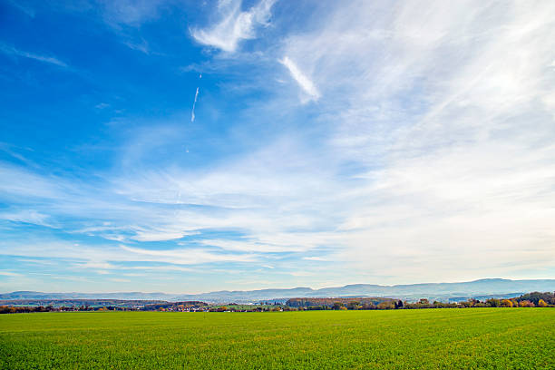 istock field of green manure 585765852