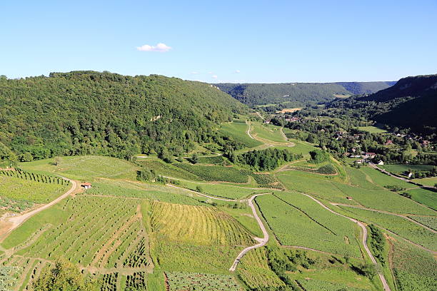 istock Vineyards of Jura 585767124