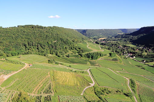 Landscape of the famous vineyards of Jura