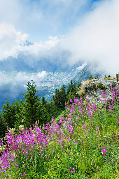 istock Fog over the mountains of Valais. 585767522