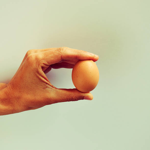 istock young man with a brown egg in his hand 585767756