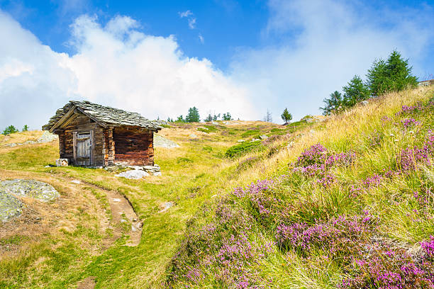 alpine landscape in the simmental valley.