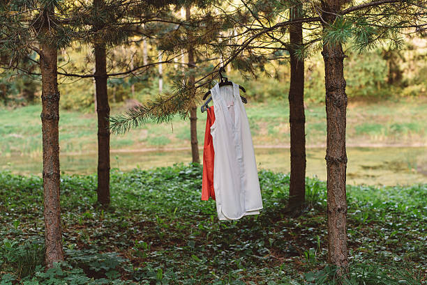 istock Women's clothing on a hanger in the forest on a tree on a branch 585769482