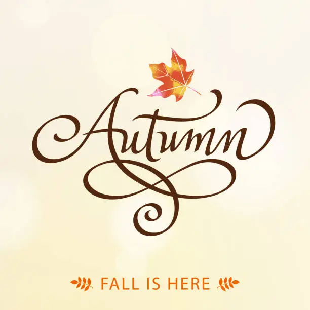 Vector illustration of Autumn Calligraphy