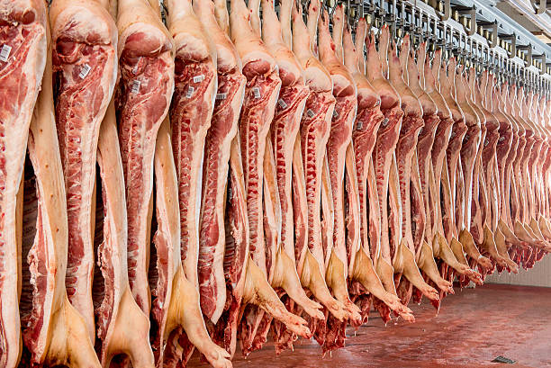 istock Chopped pig at a factory 585770608