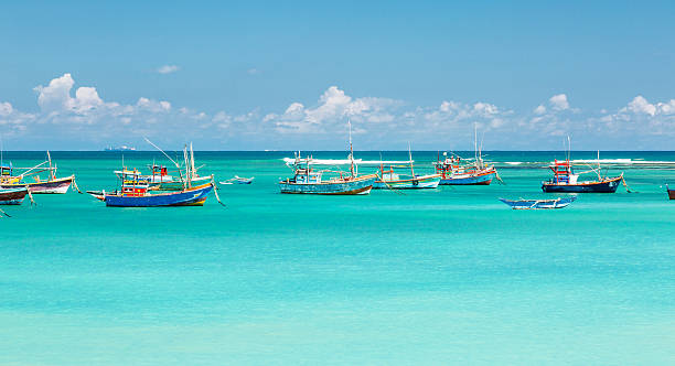 istock Weligama bay, Sri Lanka 585771692