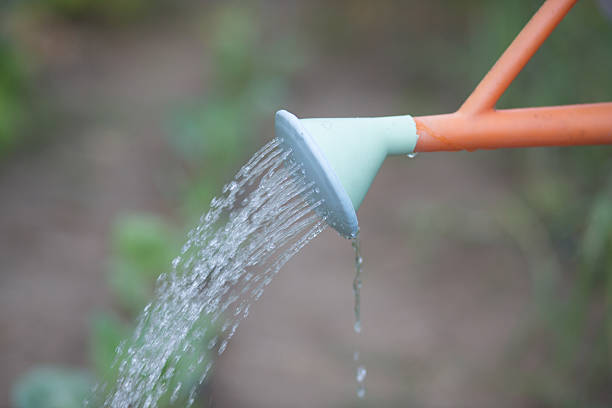 istock Watering can on the garden close up shoot 585777364