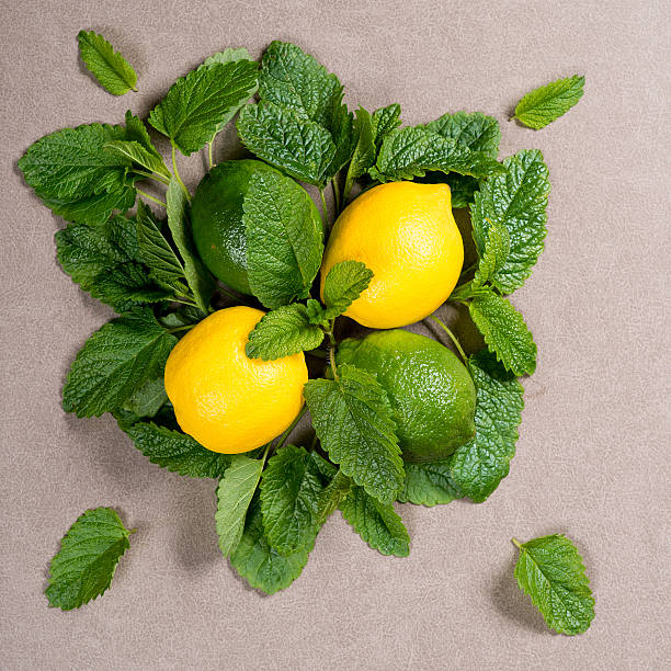 Yellow lemon, lime and green mint leaves on table.