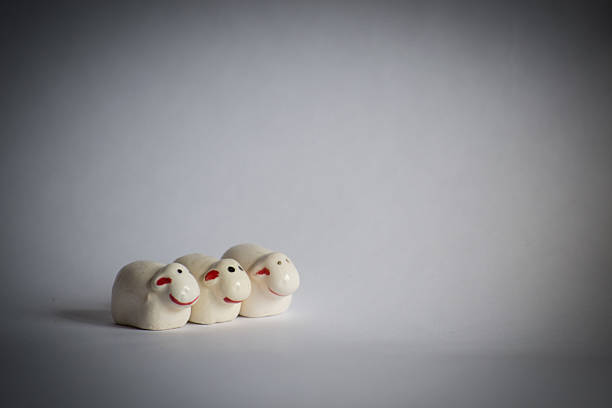 Flock of sheeps in white