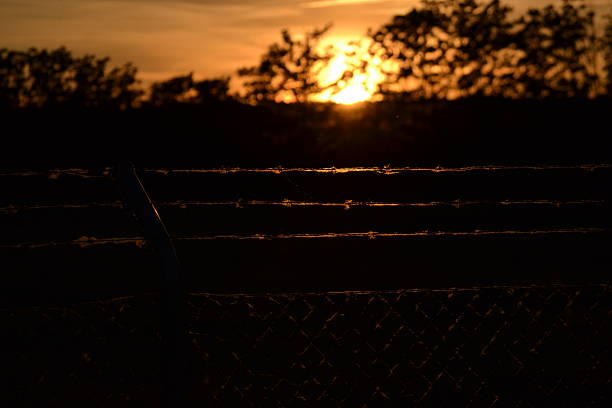 istock Sunset in the country through a fence 585781932