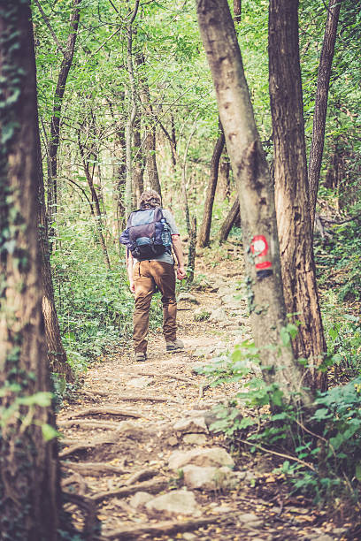 istock Senior caucasian man back view  - Mountaineer walking in forest 585786552