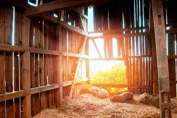 istock Inside of an old abandoned barn 585788272