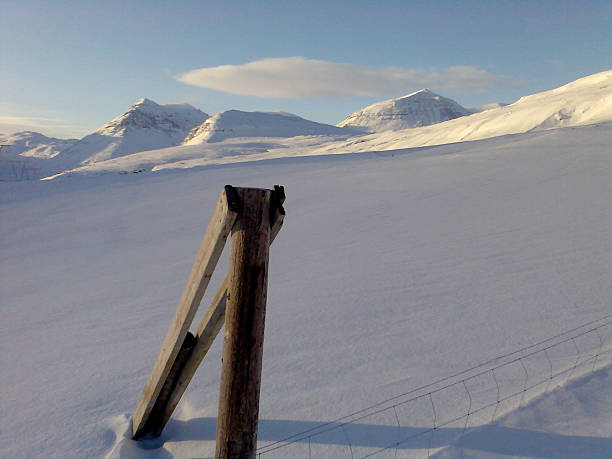 istock Iceland landscape - Djupivogur Iceland 585789510