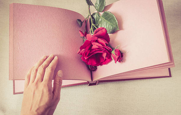 empty sheet book and red rose - rose rosé women valentines day imagens e fotografias de stock