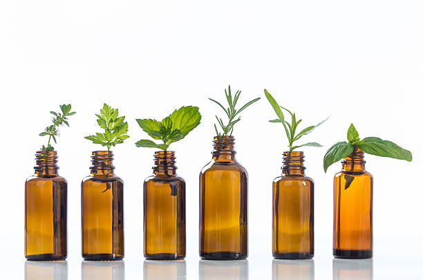 istock Bottle of essential oil with herbsON WHITE 585792042