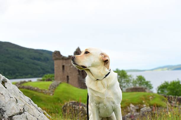 paysage écossais - scotland castle highlands region scottish culture photos et images de collection