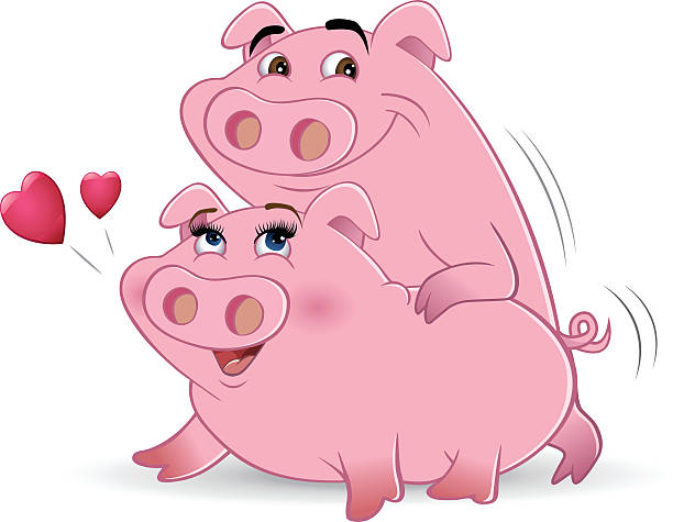 świnie humping – artystyczna grafika wektorowa