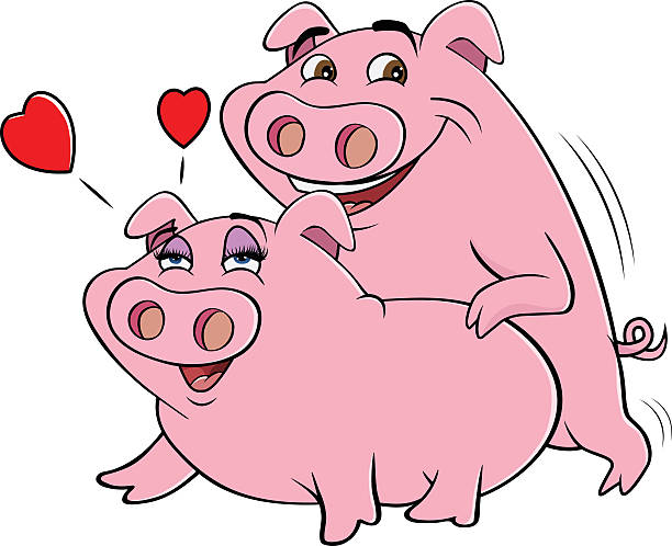 bildbanksillustrationer, clip art samt tecknat material och ikoner med pigs mating - parade