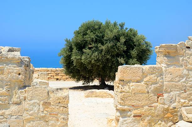 istock Ruins of Ancient Kourion, Cyprus 585796796