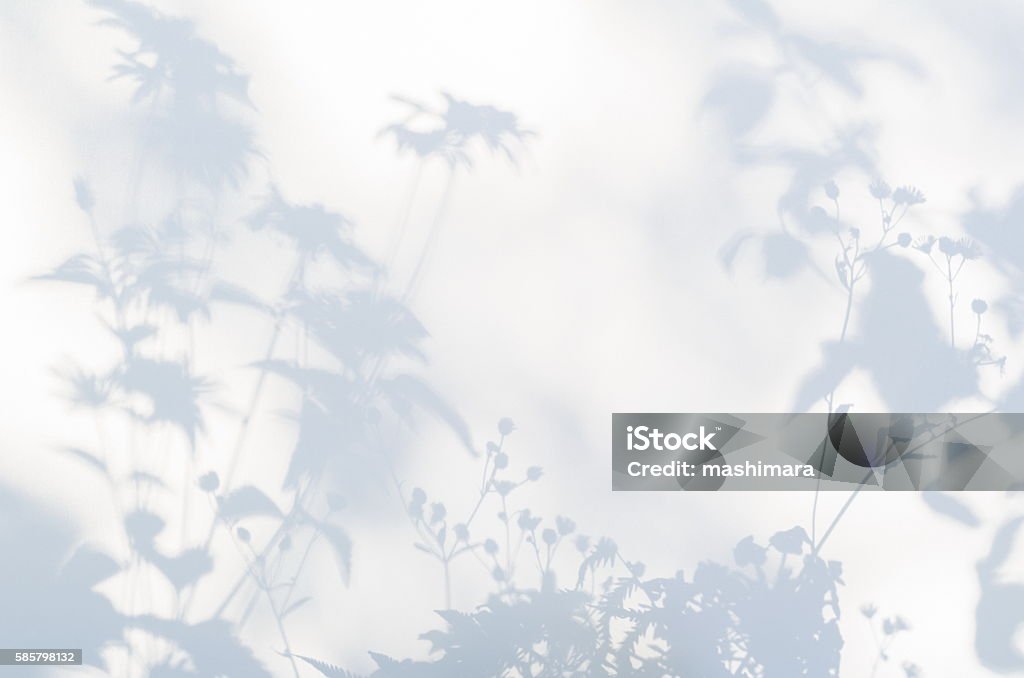 흰색 반투명 천에 꽃의 그림자 - 로열티 프리 그림자 스톡 사진