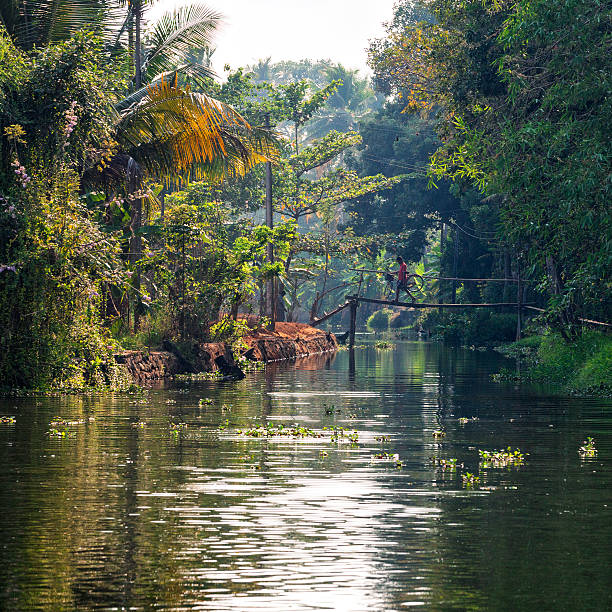 Kerala Backwaters, Kerala, India - March 12, 2015. Man with bicycle crossing the Kerala Backwaters in Kerala, India.