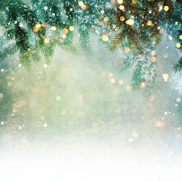明るくボケを持つ自然の背景 - christmas tree 写真 ストックフォトと画像