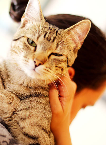 istock Woman and cat 585800502
