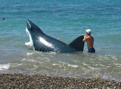 Sochi, Russia - June 30, 2014: Man walks with a hoax sharks in the water along the beach in Sochi