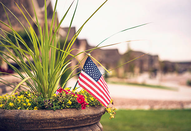 jardinera con flores y bandera de ee.uu. para las fiestas americanas - flower single flower defocused growth fotografías e imágenes de stock