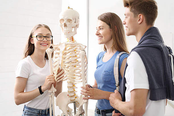 istock Teenagers on biology lesson 585806150