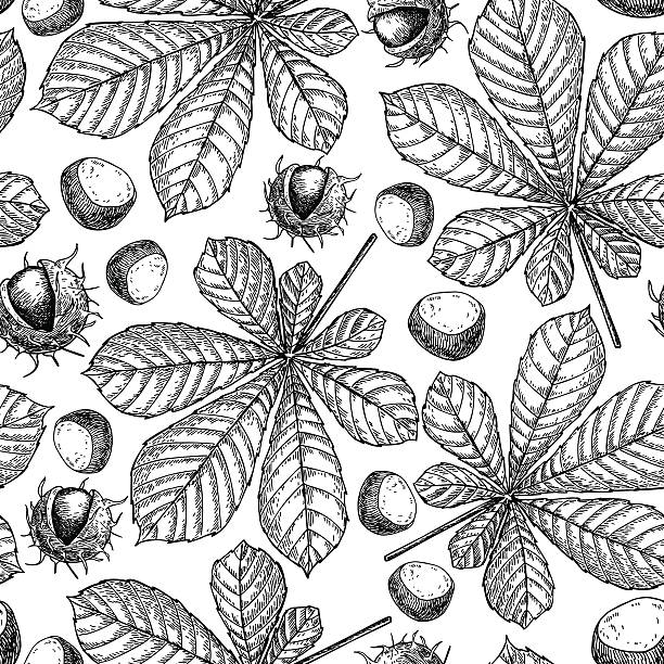bezszwowy wzór wektorowy z jesiennymi liśćmi. liść kasztanowca i nu - chestnut chestnut tree backgrounds seamless stock illustrations